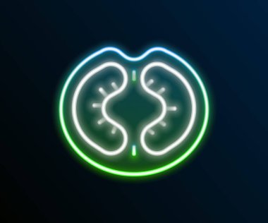 Parlayan neon çizgisi domates simgesi siyah arkaplanda izole edildi. Renkli taslak konsepti. Vektör.