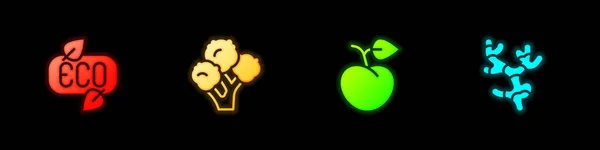 Set Leaf Eco Szimbólum Brokkoli Barack Gyümölcs Vagy Nektarin Gyömbér — Stock Vector