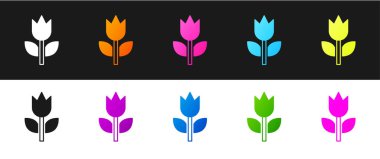 Fotoğraf kipi makro simgesini siyah ve beyaz arkaplanda izole et. Vektör.