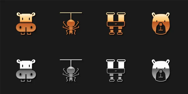 Set Hippo Hippopotamus Spider Binoculars Bear Head Icon Vector — 스톡 벡터