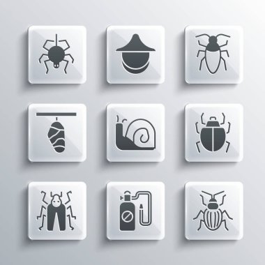 Basınç spreyi, Chafer böceği, Mite, Salyangoz, Böcek, Kelebek kozası, Örümcek ve Hamamböceği ikonu. Vektör