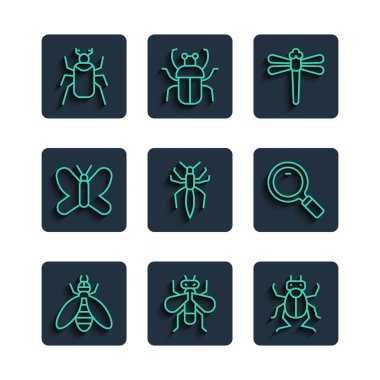 Çizgi Arı, Böcek Sineği, Böcek Böceği, Yusufçuk, Örümcek, Kelebek ve Büyüteç ikonu. Vektör