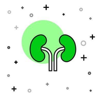 Beyaz arka planda izole edilmiş ana hatlı insan böbreği ikonu. Vektör.