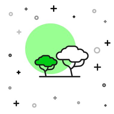 Beyaz arkaplanda izole edilmiş Afrika ağaç simgesi. Baobab, akasya ve diğerleri. Vektör.