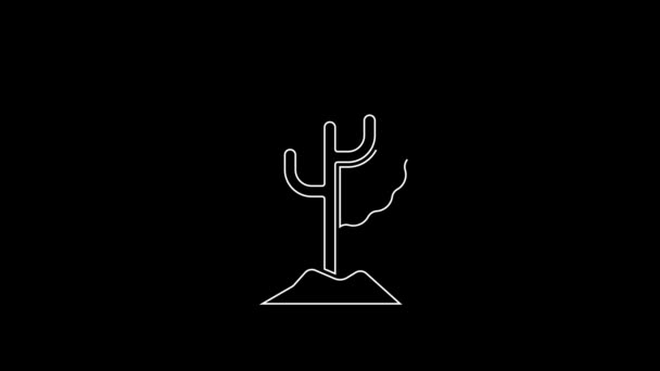 Weiße Linie Baum Symbol Isoliert Auf Schwarzem Hintergrund Symbol Wald — Stockvideo