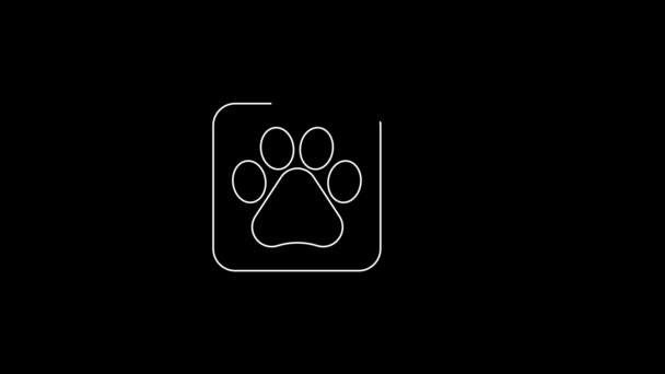 White Line Veterinary Clinic Symbol Icon Isolated Black Background Cross — Stock Video