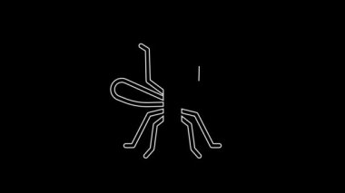 White line Mosquito icon isolated on black background. 4K Video motion graphic animation.