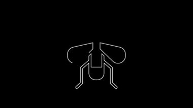 White line Insect fly icon isolated on black background. 4K Video motion graphic animation.