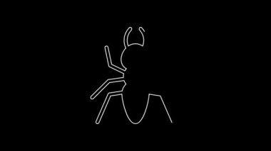 White line Ant icon isolated on black background. 4K Video motion graphic animation.