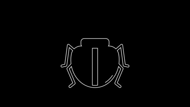 White Line Colorado Beetle Icon Isolated Black Background Video Motion — Stockvideo