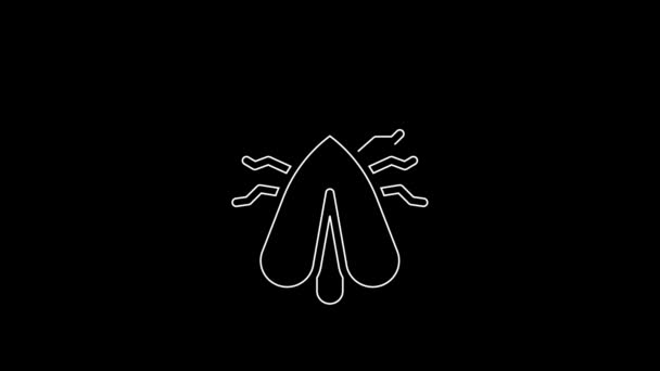 White Line Clothes Moth Icon Isolated Black Background Video Motion — Stockvideo