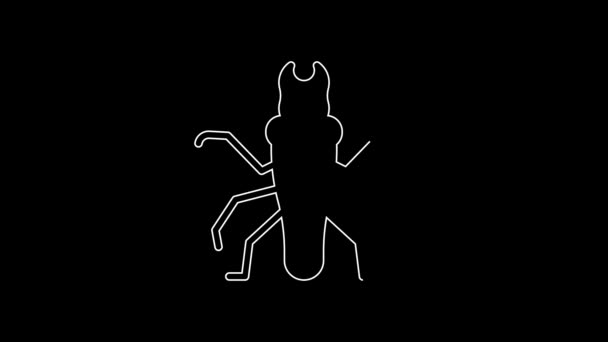 White Line Termite Icon Isolated Black Background Video Motion Graphic — Video Stock