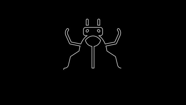 White Line Beetle Bug Icon Isolated Black Background Video Motion — Video Stock