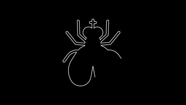 White Line Insect Fly Icon Isolated Black Background Video Motion — Wideo stockowe
