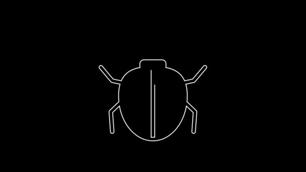 White Line Mite Icon Isolated Black Background Video Motion Graphic – Stock-video