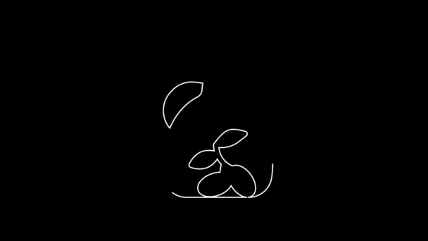 白线瓶橄榄油图标孤立在黑色背景 装橄榄油图标的罐子 4K视频运动图形动画 — 图库视频影像