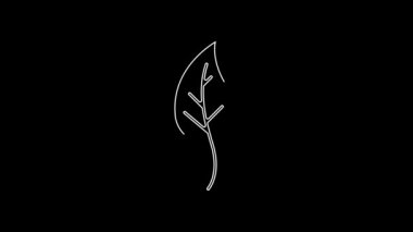 White line Leaf icon isolated on black background. Leaves sign. Fresh natural product symbol. 4K Video motion graphic animation.