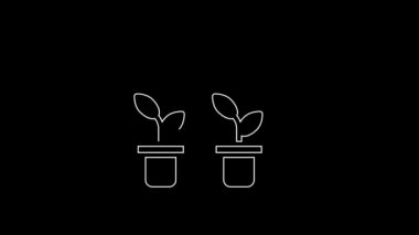 White line Drop of water drops from pipette on plant icon isolated on black background. Medical or agricultural experiments. Fertilizers and pesticides. 4K Video motion graphic animation.