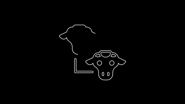 White Line Cloning Icon Isolated Black Background Genetic Engineering Concept — Vídeo de stock