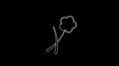 Beyaz çizgi çiçek simgesi siyah arkaplanda izole edildi. 4K Video hareketli grafik canlandırması.