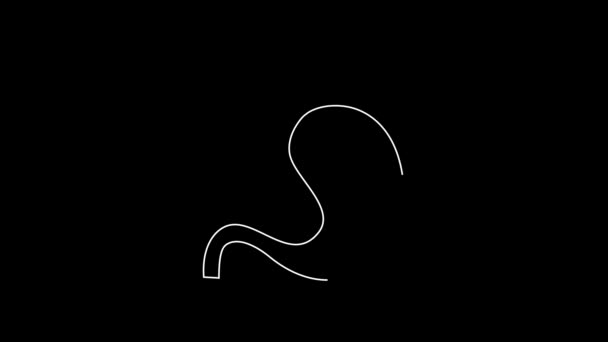 White Line Human Stomach Icon Isolated Black Background Video Motion — Vídeos de Stock