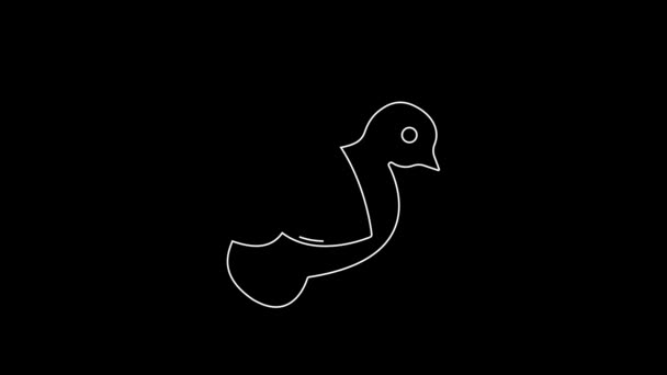 Bílá Čára Holubice Ikona Izolované Černém Pozadí Grafická Animace Pohybu — Stock video