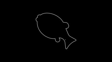 White line Tropical fish icon isolated on black background. Exotic fish. 4K Video motion graphic animation.