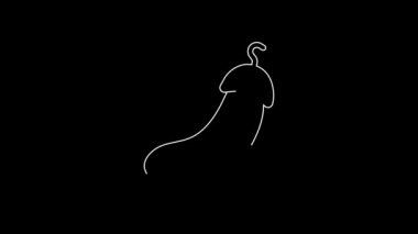 White line Eggplant icon isolated on black background. 4K Video motion graphic animation.