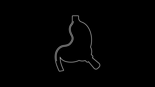 White Line Human Stomach Magnifying Glass Icon Isolated Black Background — 비디오