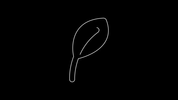 White Line Leaf Icon Isolated Black Background Leaves Sign Fresh — Video