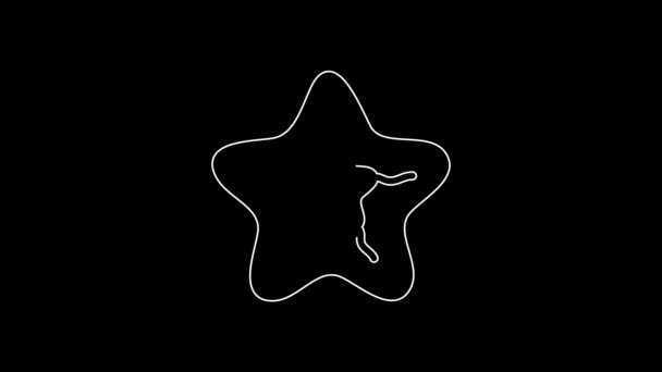 Weiße Linie Seestern Symbol Isoliert Auf Schwarzem Hintergrund Video Motion — Stockvideo
