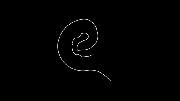 White Line Octopus Tentacle Icon Isolated Black Background Video Motion — 비디오