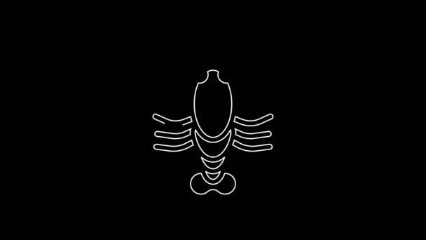 White Line Lobster Icon Isolated Black Background Video Motion Graphic — 图库视频影像