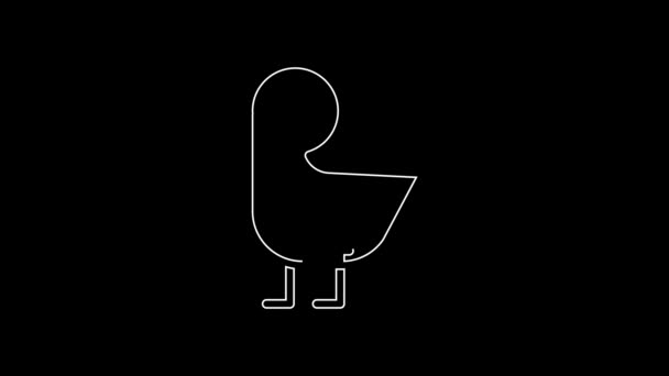White Line Little Chick Icon Isolated Black Background Video Motion — Stok video