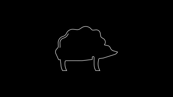 White Line Hedgehog Icon Isolated Black Background Animal Symbol Video — Stockvideo