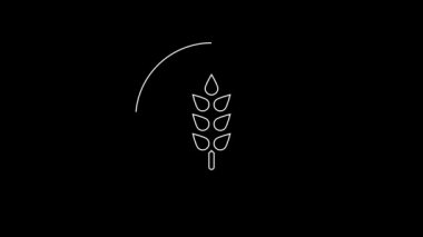 Beyaz çizgili mısır gevrekleri, pirinç, mısır, yulaf, çavdar, siyah arka planda izole edilmiş arpa ikonu. Buğday ekmeği sembolleri. 4K Video hareketli grafik canlandırması.