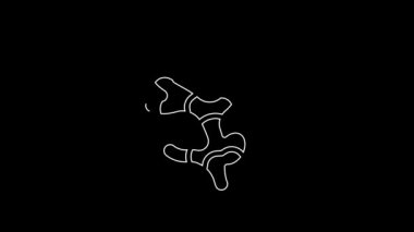 White line Ginger root icon isolated on black background. 4K Video motion graphic animation.