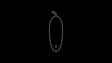 White line Fresh cucumber icon isolated on black background. 4K Video motion graphic animation.