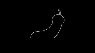White line Eggplant icon isolated on black background. 4K Video motion graphic animation.