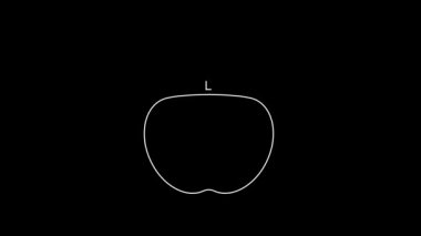 Apple 'ın beyaz çizgi simgesi siyah arkaplanda izole edildi. Fazla kilolu. Sağlıklı diyet menüsü. Fitness diyeti elması. 4K Video hareketli grafik canlandırması.