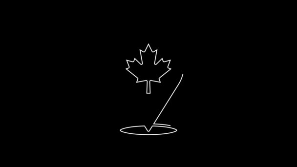 White Line Canadian Maple Leaf Icon Isolated Black Background Canada — 图库视频影像