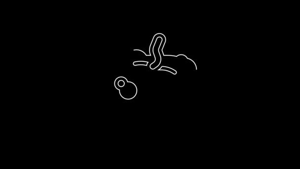 黒の背景に白のラインカボチャのアイコンを隔離 ハッピーハロウィンパーティー 4Kビデオモーショングラフィックアニメーション — ストック動画