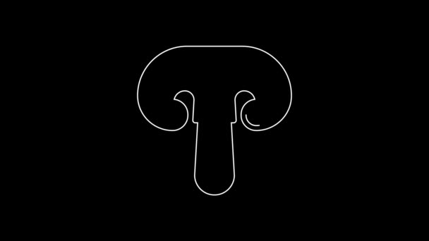 White Line Mushroom Icon Isolated Black Background Video Motion Graphic — Stockvideo