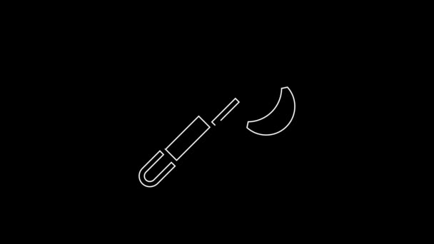 白線黒の背景に木製の斧アイコンを隔離 ルンベルジャック斧 4Kビデオモーショングラフィックアニメーション — ストック動画