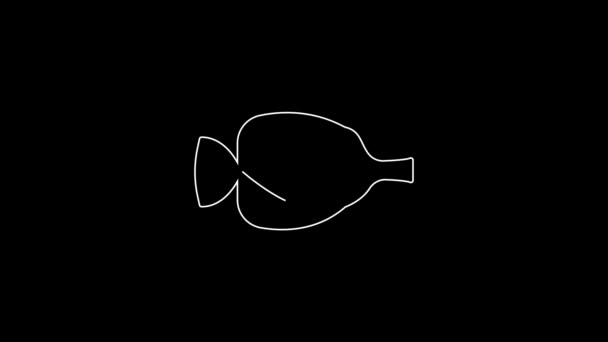 White Line Butterfly Fish Icon Isolated Black Background Video Motion — Vídeo de stock