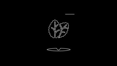 White line Tobacco leaf icon isolated on black background. Tobacco leaves. 4K Video motion graphic animation.