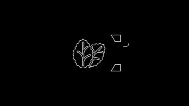 White line Tobacco leaf shop icon isolated on black background. Tobacco leaves. 4K Video motion graphic animation.