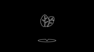 White line Tobacco leaf icon isolated on black background. Tobacco leaves. 4K Video motion graphic animation.