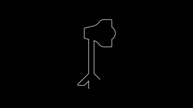 White line Studio light bulb in softbox icon isolated on black background. Shadow reflection design. 4K Video motion graphic animation.