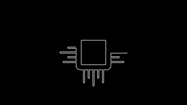 具有微电路Cpu图标的白线计算机处理器 在黑色背景上隔离 芯片或Cpu与电路板 微处理器 4K视频运动图形动画 — 图库视频影像